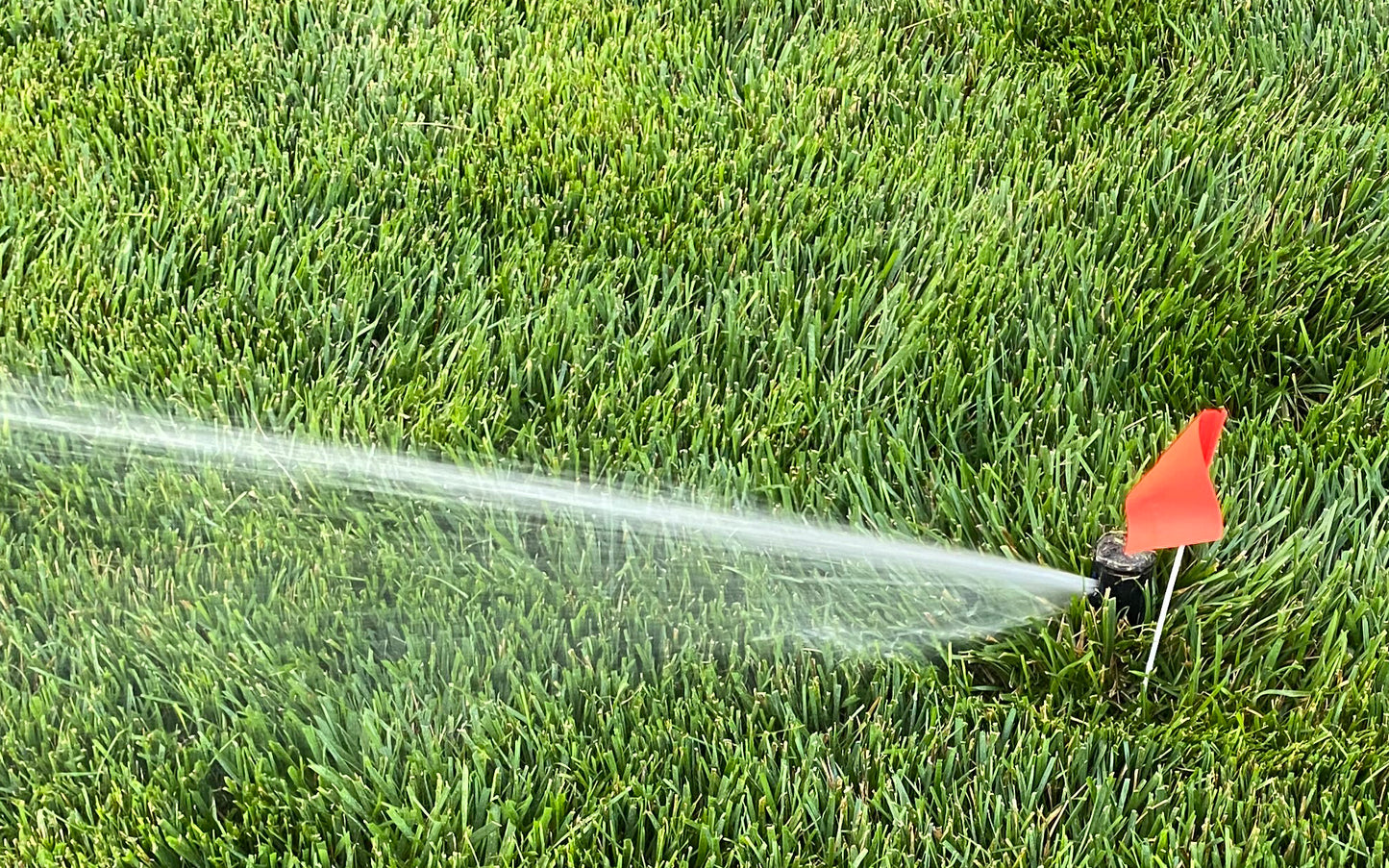 Stake Flags for Marking Sprinkler Heads and Other Objects